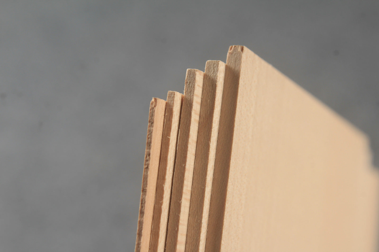 Canadian hard maple wood slices various thickness WOODS CUES