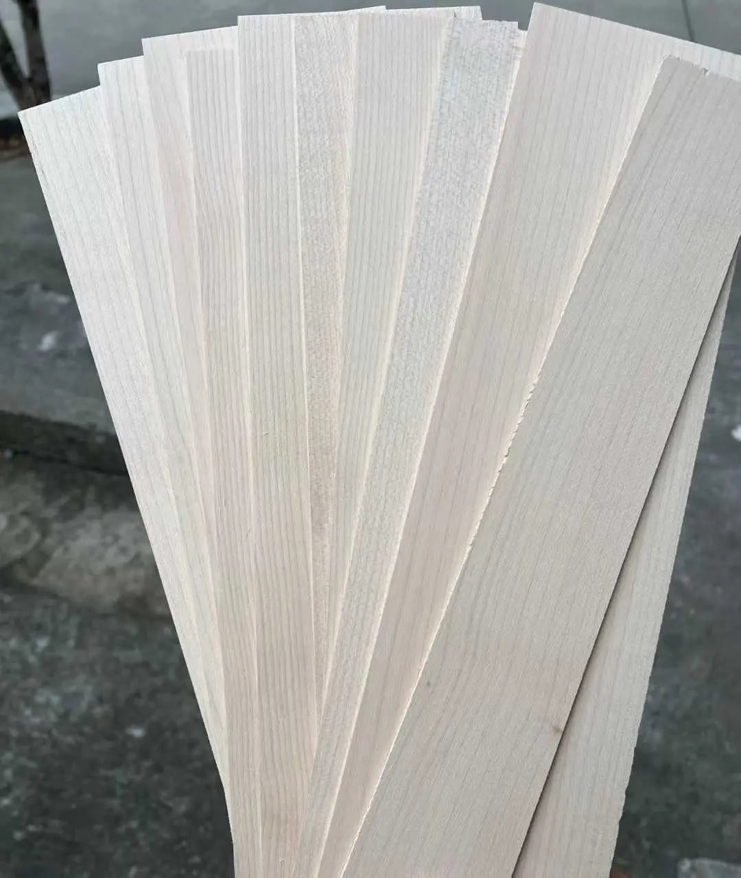 Canadian hard maple wood slices various thickness WOODS CUES