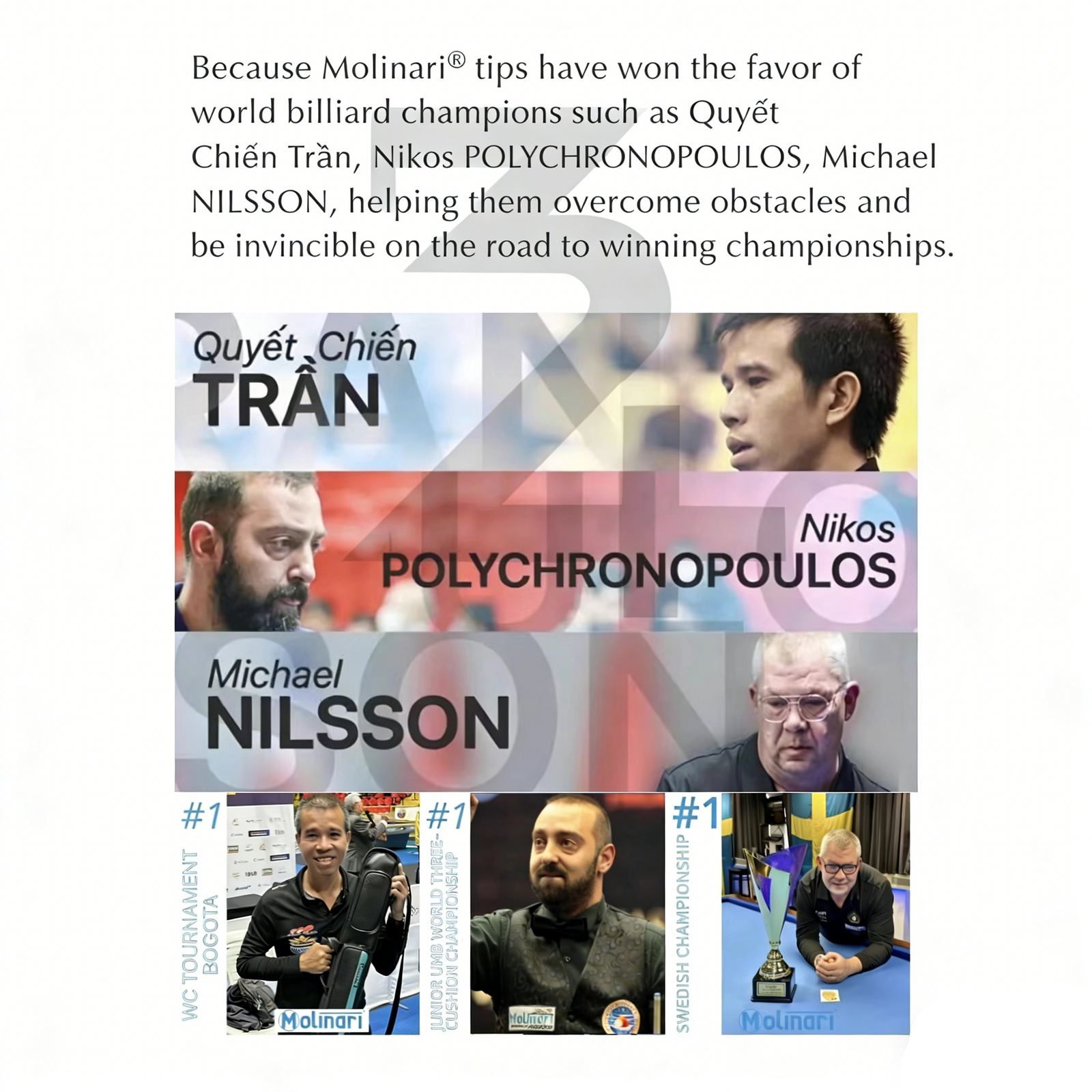 14mm Molinari 7-Layer Billiard Cue Tip - 4 Hardness Options - Professional Grade