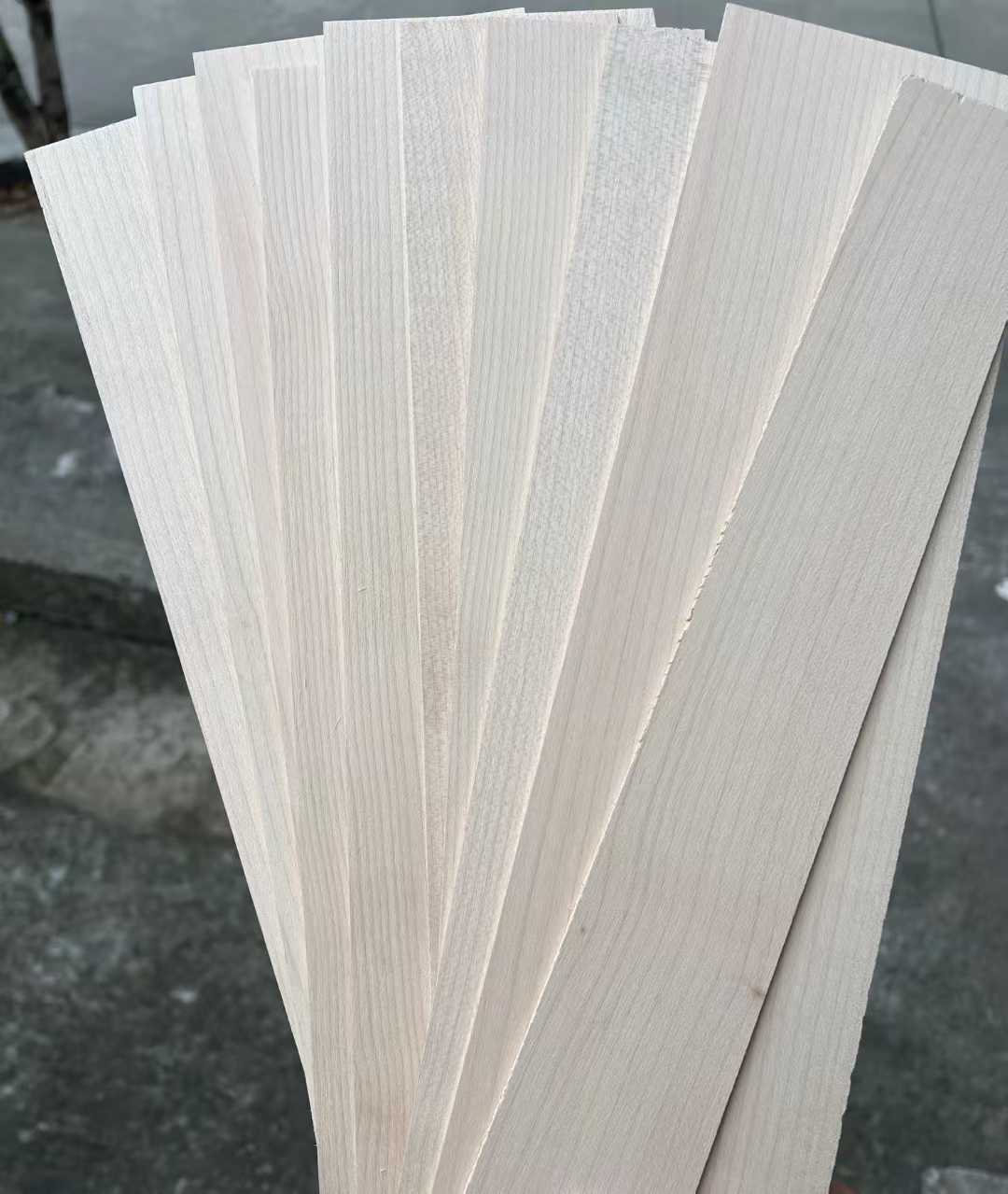 Canadian hard maple straight grain wood slices